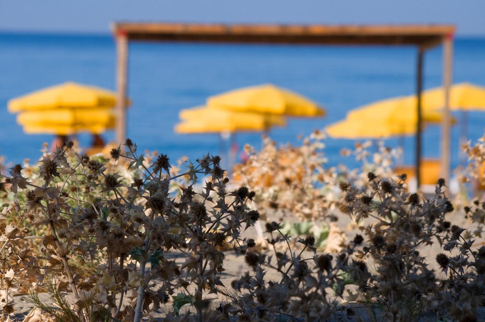 Villaggio Camping Odissea Marina di Camerota Esterno foto