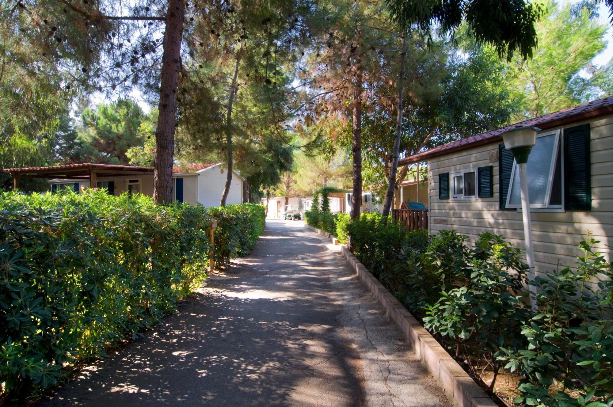 Villaggio Camping Odissea Marina di Camerota Esterno foto